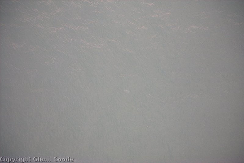 Image046