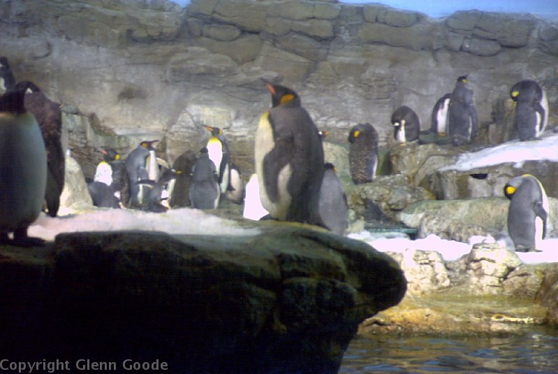 Image062