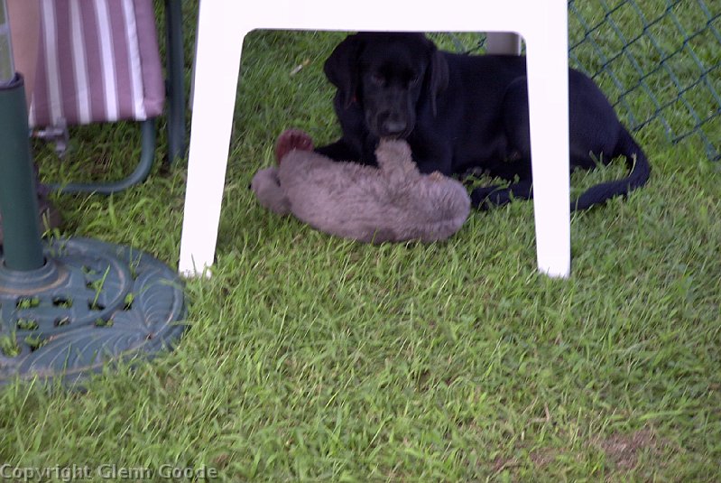 Image099