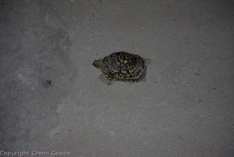 Image009