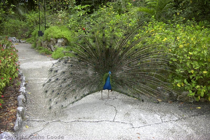 Image011