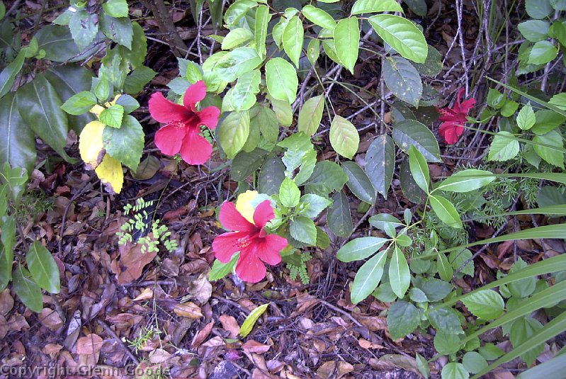 Image027
