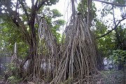 Image032