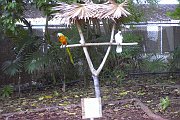 Image035