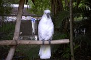 Image038