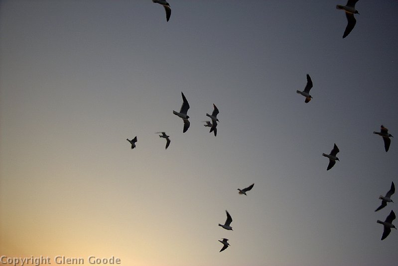 Image020