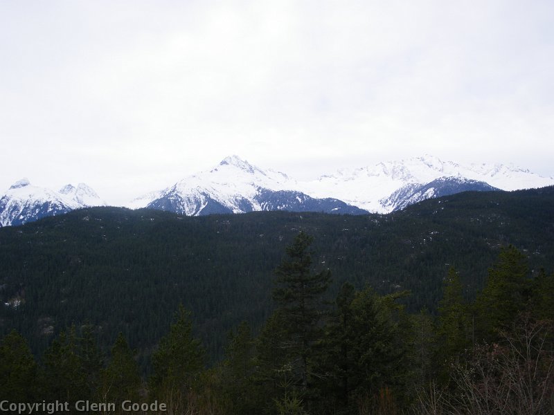 IMGP0378