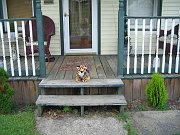 IMG_0212
