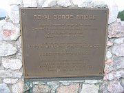 IMG_0331