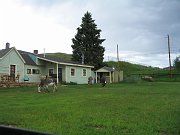 IMG_0334
