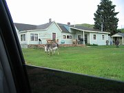 IMG_0335