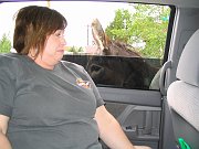 IMG_0340
