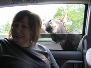 IMG_0341
