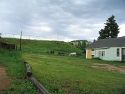 IMG_0342