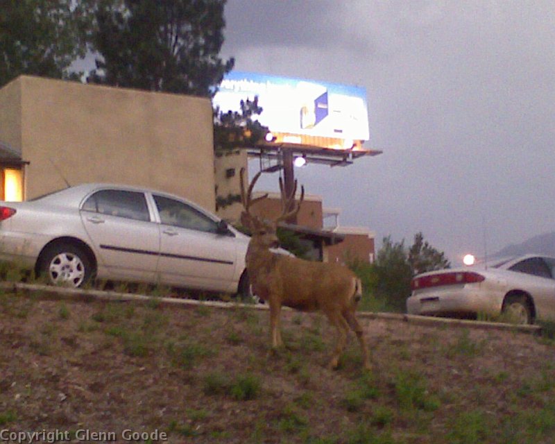 Photo_080509_009
