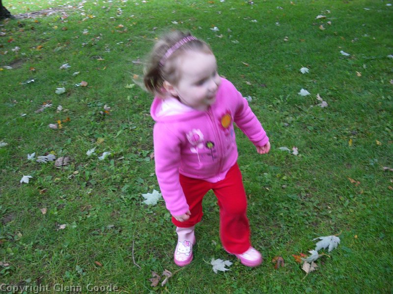 IMGP1673