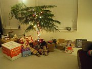 2009-12-19-xmas-tree