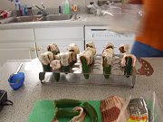 2010-02-06-stuffed-jalapenos