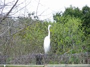 IMGP2319
