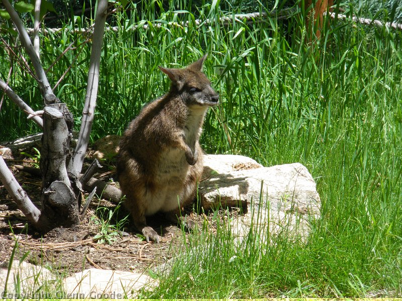 IMGP2545
