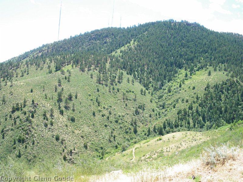 IMGP2818