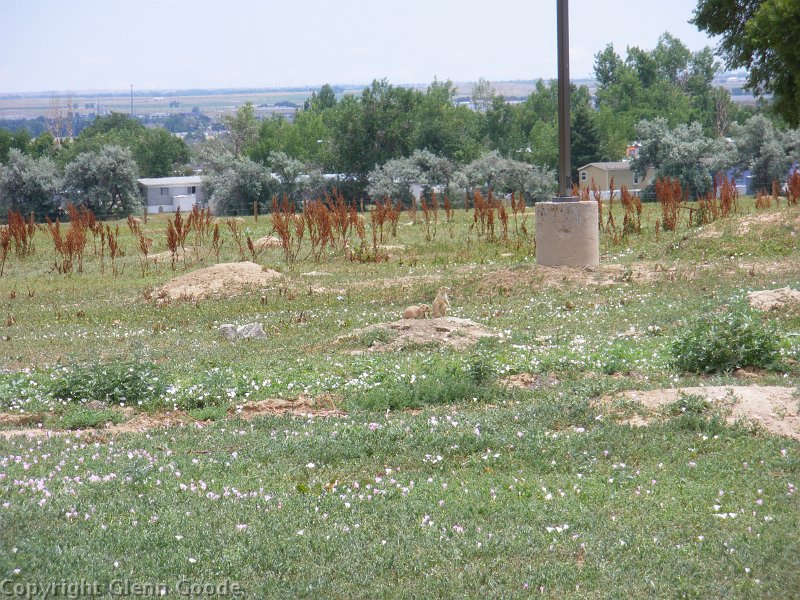 IMGP2935