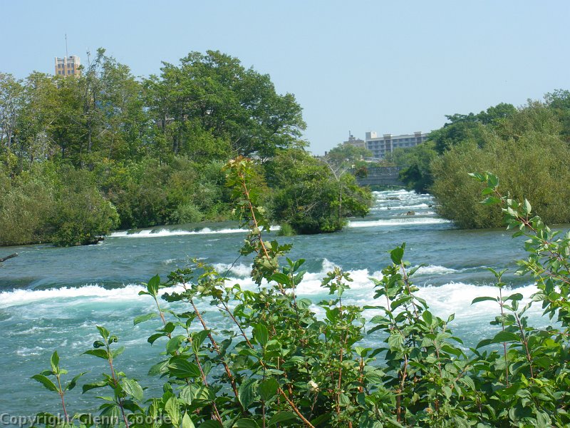 IMGP3229