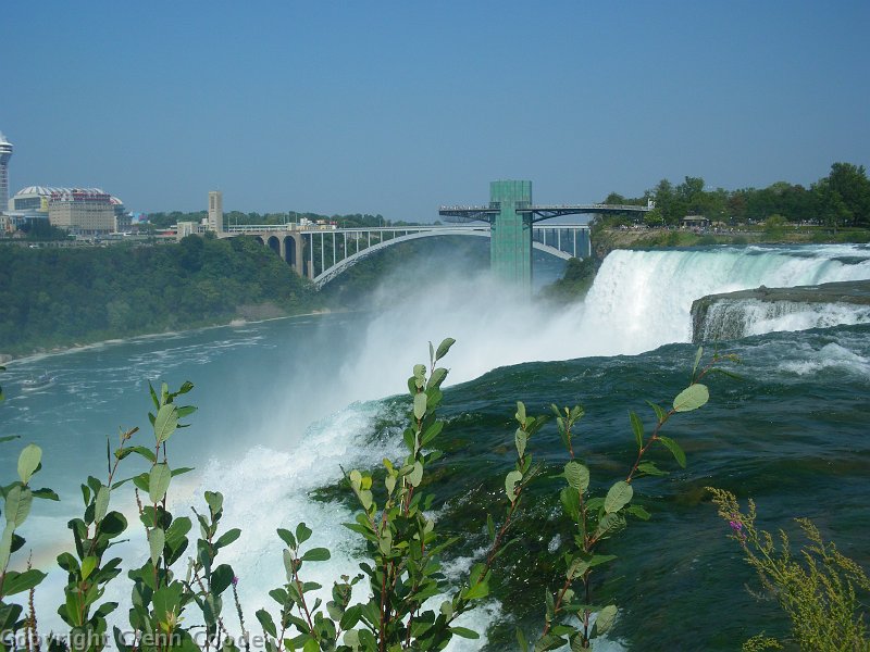 IMGP3234