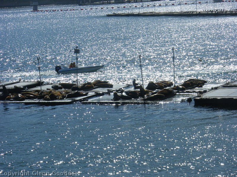 imgp4075
