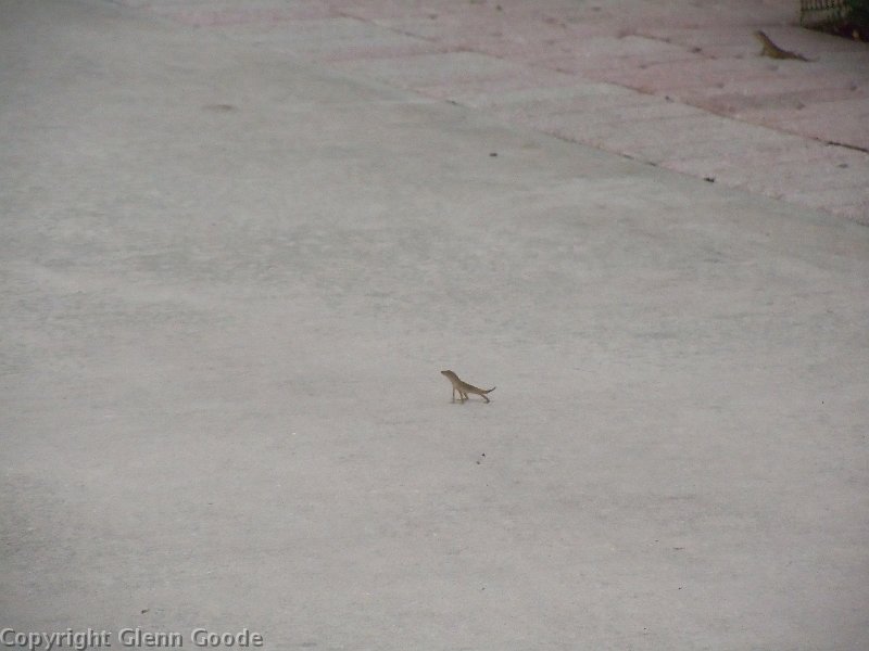 dscn0081