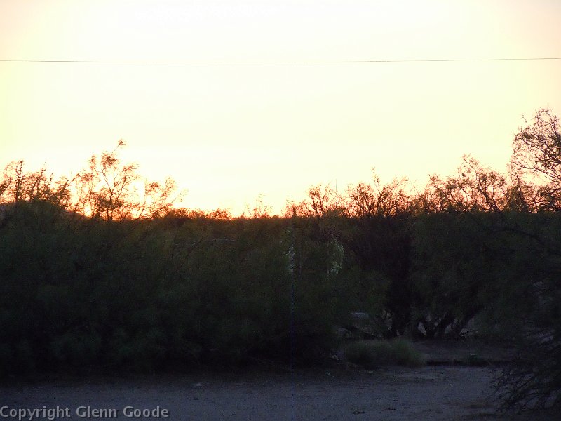 DSCN0063