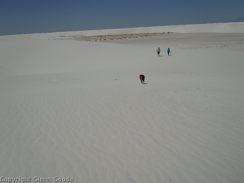 DSCN0089