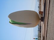 DSCN0142