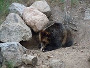 DSCN0468