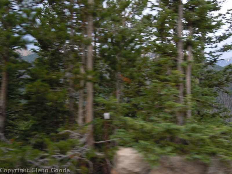 DSCN0524
