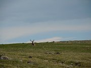 DSCN0579