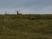 DSCN0580