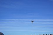 DSC00814
