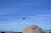 DSC00816